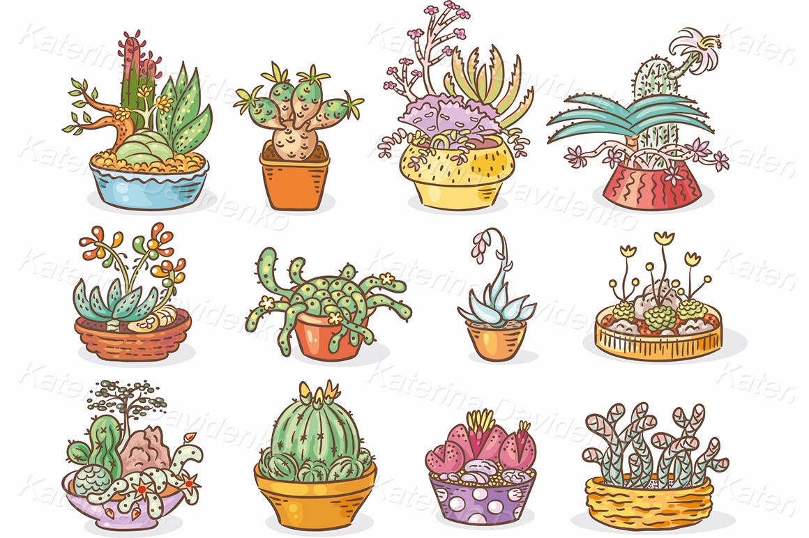 Clipart of succulent compositions in containers