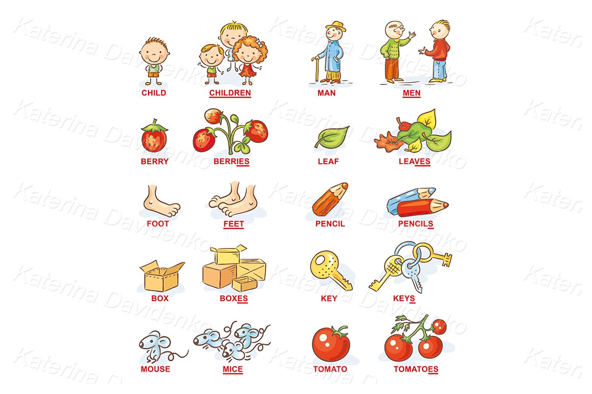Plural of nouns in cartoon pictures for children